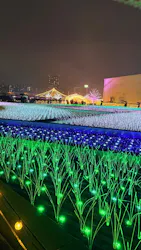 東京メガイルミに投稿された画像（2026/10/24）