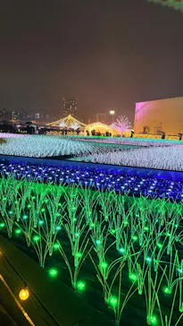 東京メガイルミに投稿された画像（2026/10/24）
