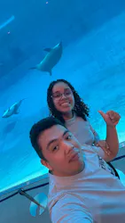 名古屋港水族館に投稿された画像（2026/10/24）