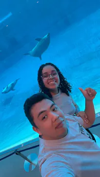 名古屋港水族館に投稿された画像（2026/10/24）