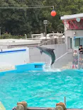 しながわ水族館に投稿された画像（2026/10/25）