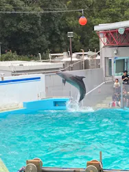 しながわ水族館に投稿された画像（2026/10/24）