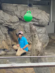 しながわ水族館に投稿された画像（2026/10/24）