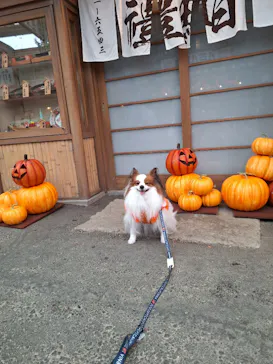 西武園ゆうえんちに投稿された画像（2026/10/24）