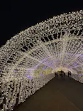 東京メガイルミに投稿された画像（2026/10/25）