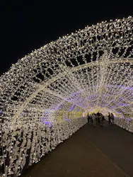 東京メガイルミに投稿された画像（2026/10/24）