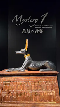 MYSTERY OF TUTANKHAMEN 体感型古代エジプト展に投稿された画像（2026/10/24）