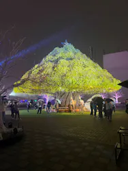 東京メガイルミに投稿された画像（2026/10/25）