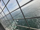 徳島県立 渦の道に投稿された画像（2026/10/25）