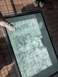 徳島県立 渦の道に投稿された画像（2026/10/25）