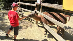 しろとり動物園に投稿された画像（2026/10/25）