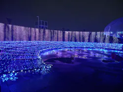 東京メガイルミに投稿された画像（2026/10/25）