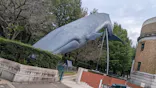 国立科学博物館に投稿された画像（2026/10/25）