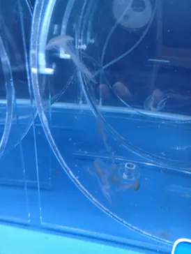 すみだ水族館に投稿された画像（2026/10/25）