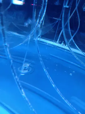 すみだ水族館に投稿された画像（2026/10/25）