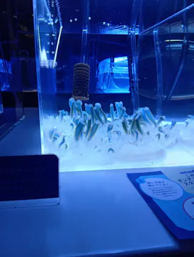 すみだ水族館に投稿された画像（2026/10/25）
