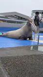 大分マリーンパレス水族館 「うみたまご」に投稿された画像（2026/10/25）