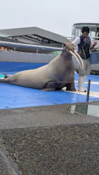 大分マリーンパレス水族館 「うみたまご」に投稿された画像（2026/10/25）