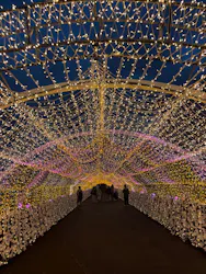 東京メガイルミに投稿された画像（2026/10/25）