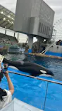 名古屋港水族館に投稿された画像（2026/10/25）