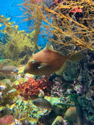 名古屋港水族館に投稿された画像（2026/10/25）