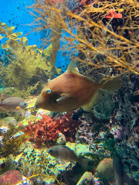 名古屋港水族館に投稿された画像（2026/10/25）