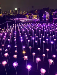 東京メガイルミに投稿された画像（2026/10/25）