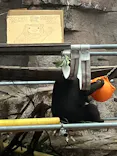 天王寺動物園に投稿された画像（2026/10/25）
