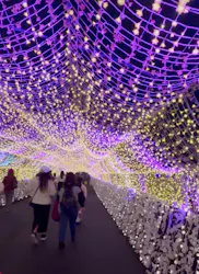 東京メガイルミに投稿された画像（2026/10/25）