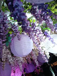 東京メガイルミに投稿された画像（2026/10/25）