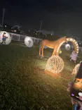 東京メガイルミに投稿された画像（2026/10/26）