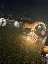 東京メガイルミに投稿された画像（2026/10/25）