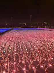 東京メガイルミに投稿された画像（2026/10/25）