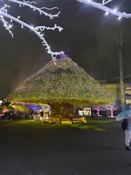 東京メガイルミに投稿された画像（2026/10/25）