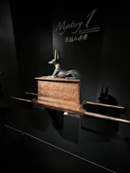 MYSTERY OF TUTANKHAMEN 体感型古代エジプト展に投稿された画像（2026/10/25）