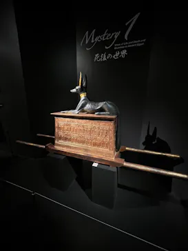 MYSTERY OF TUTANKHAMEN 体感型古代エジプト展に投稿された画像（2026/10/25）