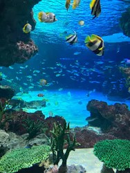サンシャイン水族館に投稿された画像（2026/10/25）