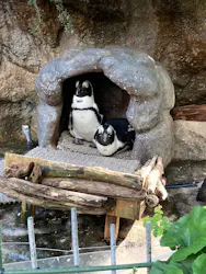サンシャイン水族館に投稿された画像（2026/10/25）