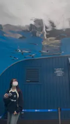 サンシャイン水族館に投稿された画像（2026/10/26）