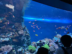サンシャイン水族館に投稿された画像（2026/10/26）
