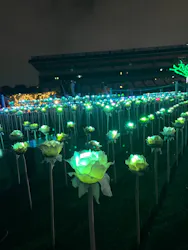 東京メガイルミに投稿された画像（2026/10/26）