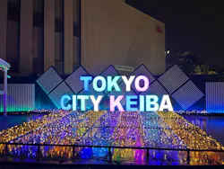 東京メガイルミに投稿された画像（2026/10/26）