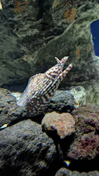 サンシャイン水族館に投稿された画像（2026/10/26）