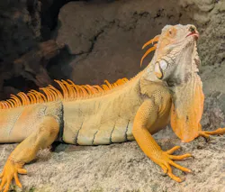 サンシャイン水族館に投稿された画像（2026/10/26）