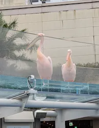 サンシャイン水族館に投稿された画像（2026/10/26）