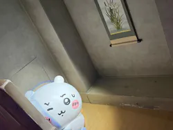 ちいかわパークに投稿された画像（2026/10/26）