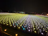 東京メガイルミに投稿された画像（2026/10/26）