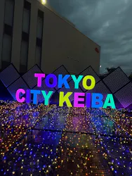 東京メガイルミに投稿された画像（2026/10/26）