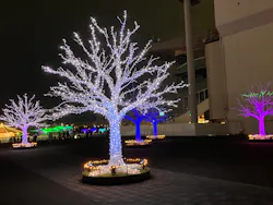東京メガイルミに投稿された画像（2026/10/26）