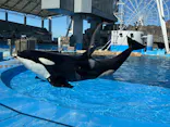 名古屋港水族館に投稿された画像（2026/10/27）